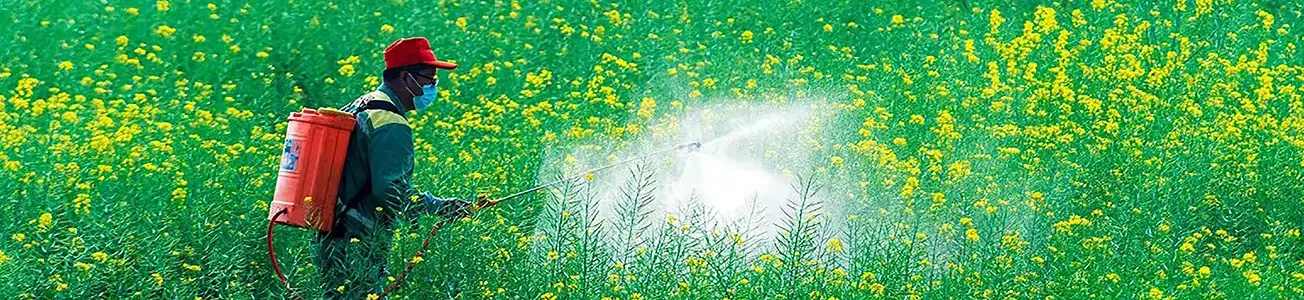 Pesticide
