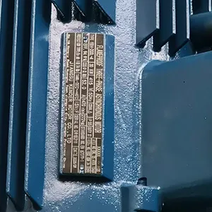 ATEX-Certified Motor (Customized)