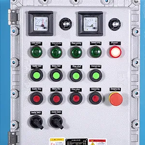 Explosion-Proof Control Panel