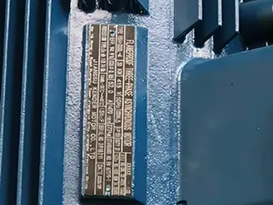 Customized Explosion-Proof Motor with ATEX Certification